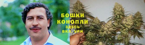 mdpv Богородицк