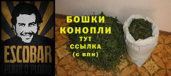 mdpv Богородицк