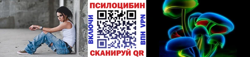 наркотики  Березники  Псилоцибиновые грибы Cubensis 